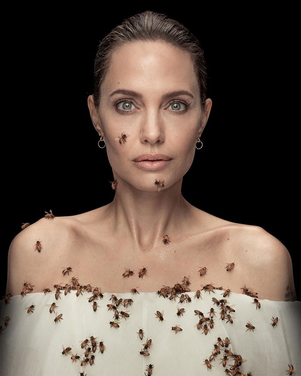 Angelina Jolie chụp ảnh cùng ong